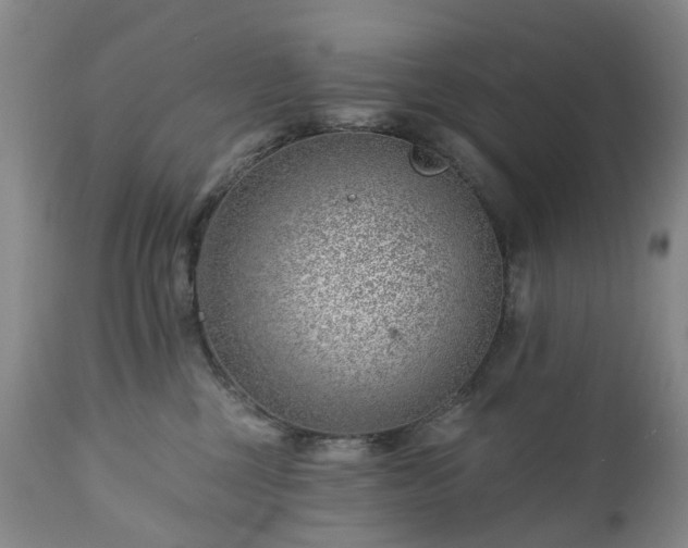 X0000112460377200908241304