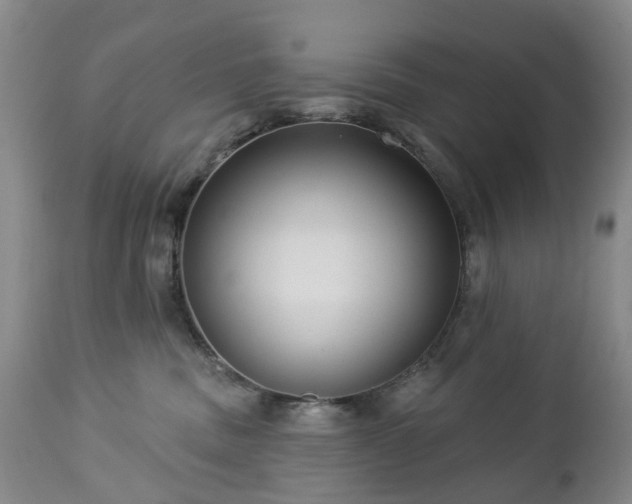 X0000112460379200908241304