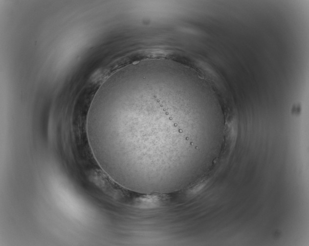 X0000112460381200908241304