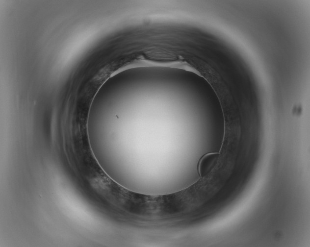 X0000112460382200908241305