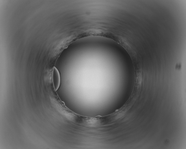 X0000112460383200908241305