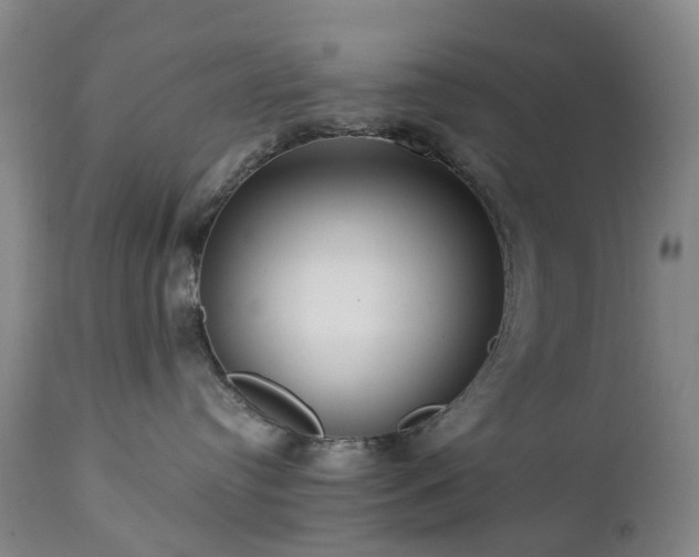 X0000112460384200908241305