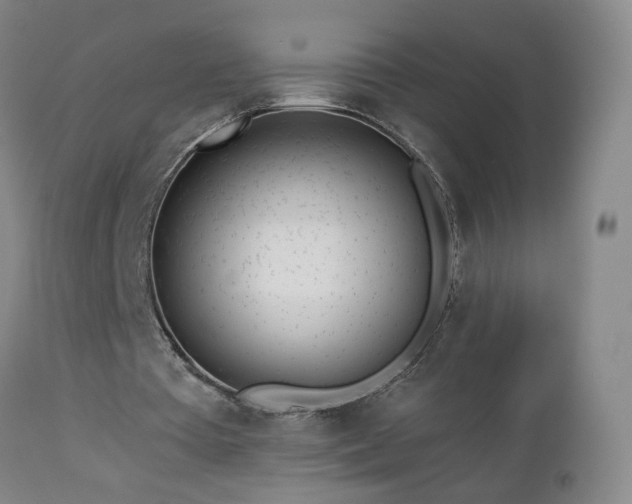 X0000112460385200908241304