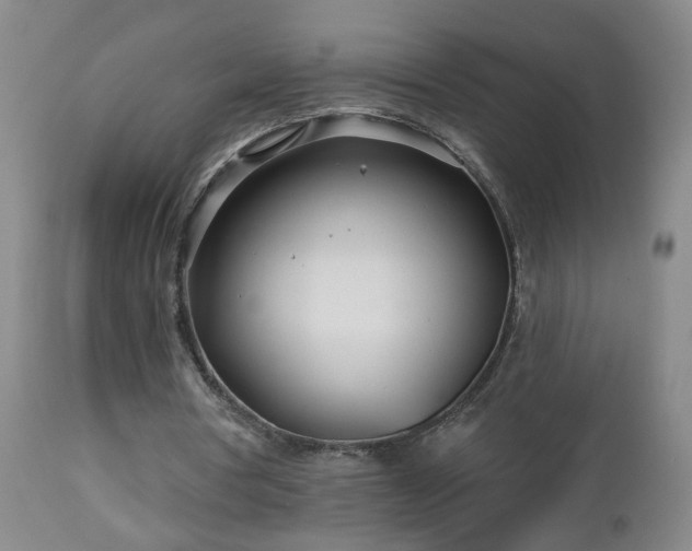 X0000112460386200908241304