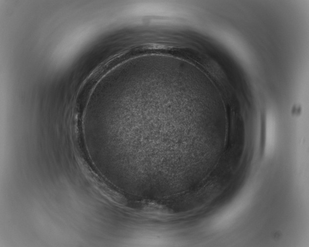 X0000112460387200908241304