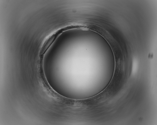 X0000112460388200908241304