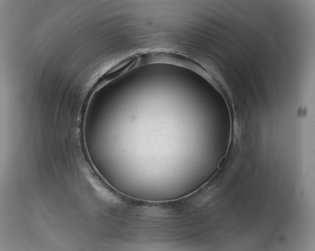 X0000112460389200908241304