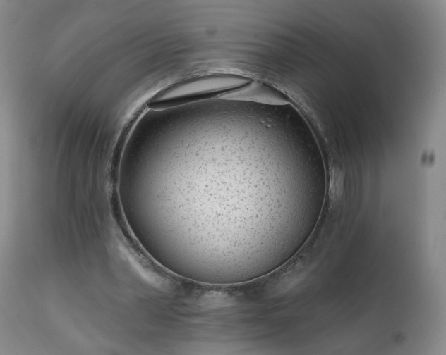 X0000112460390200908241304