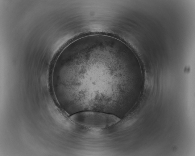 X0000112460391200908241304