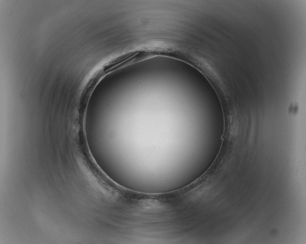 X0000112460392200908241304