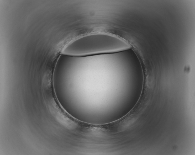 X0000112460393200908241304