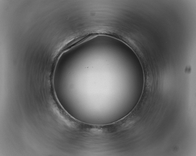 X0000112460394200908241304