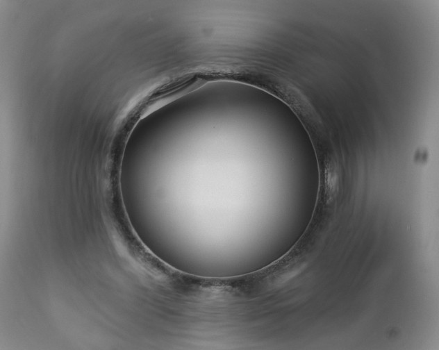 X0000112460396200908241304