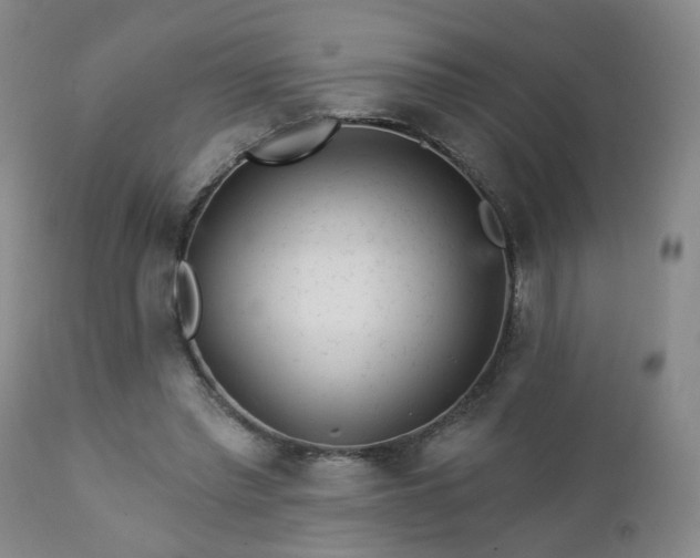 X0000112460397200908241304