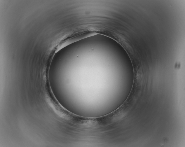 X0000112460398200908241304