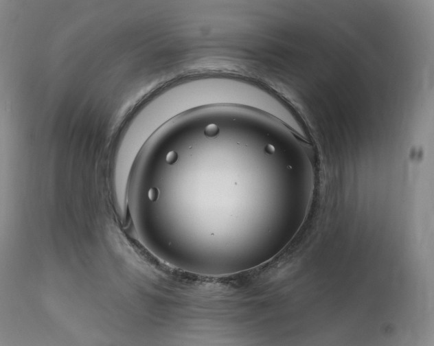 X0000112460399200908241304