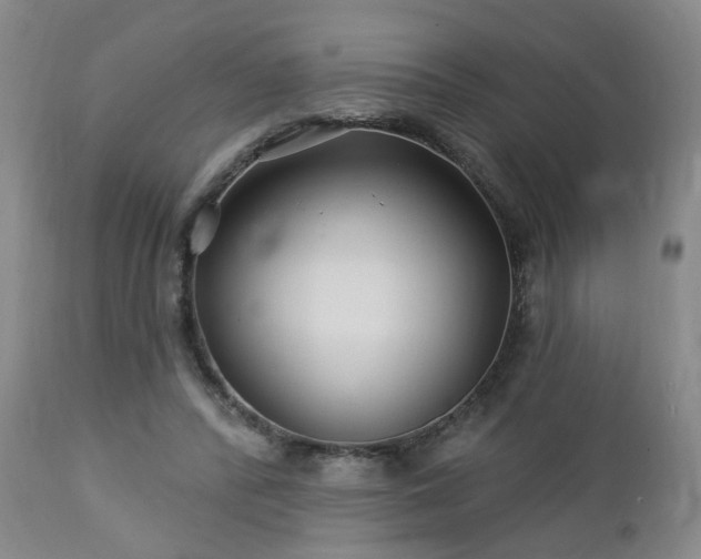 X0000112460400200908241304