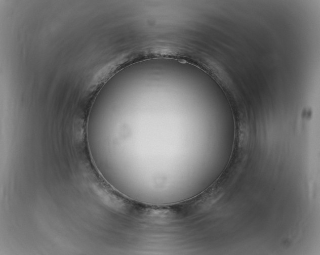 X0000112460401200908241304