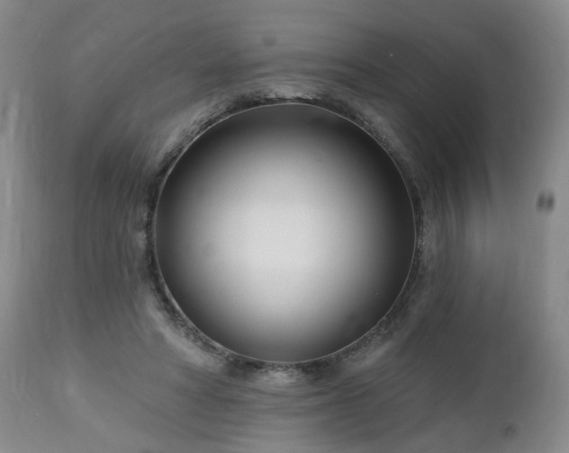 X0000112460402200908241304