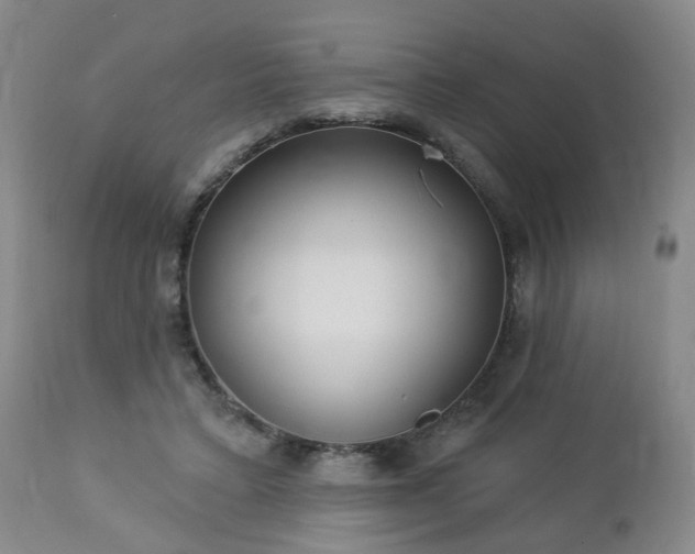 X0000112460403200908241304