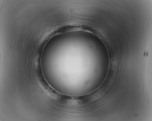 X0000112460404200908241304