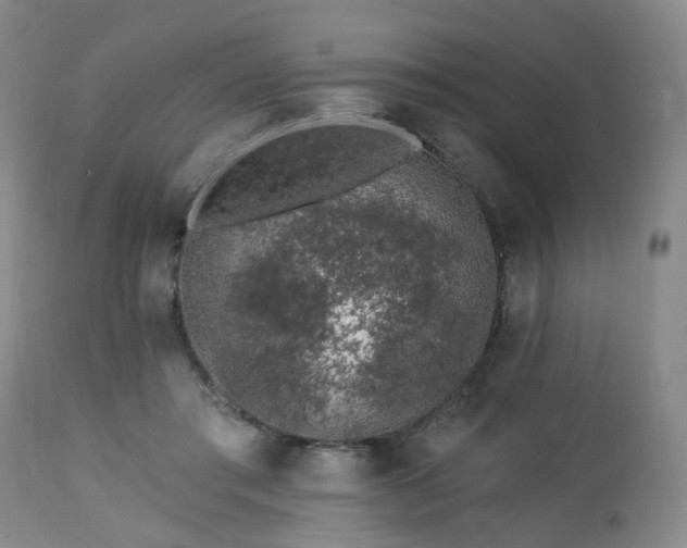 X0000112460405200908241304