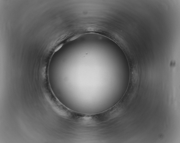 X0000112460406200908241304