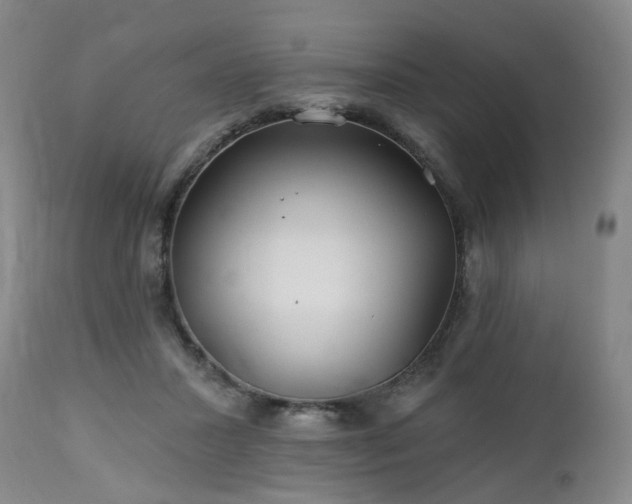 X0000112460407200908241304