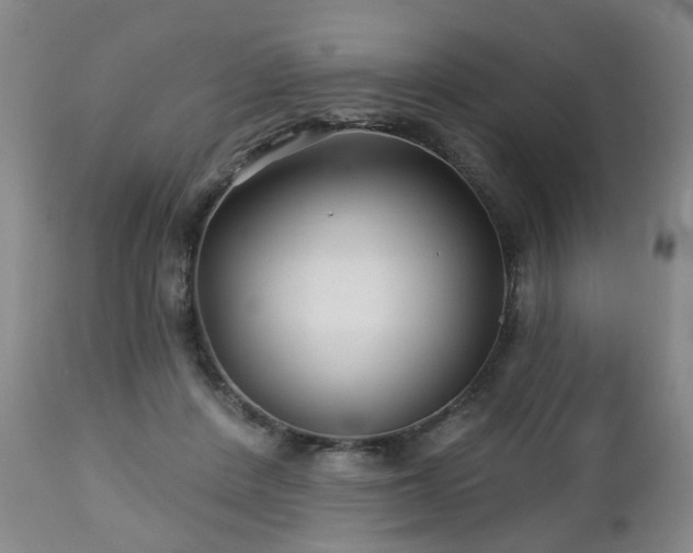 X0000112460408200908241304