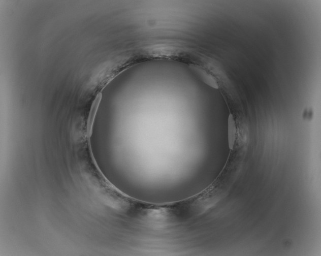 X0000112460411200908241304