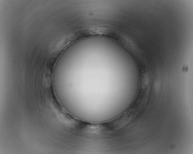 X0000112460414200908241303