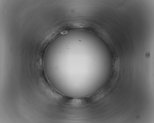 X0000112460418200908241303