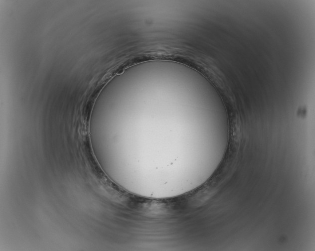 X0000112460419200908241303