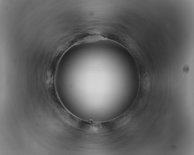 X0000112460420200908241303