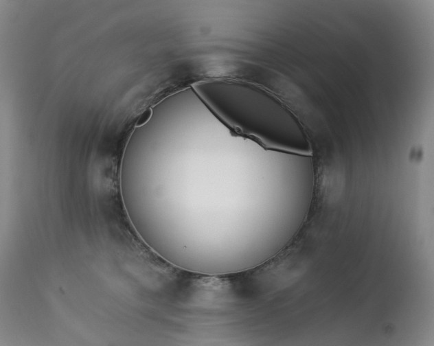 X0000112460421200908241303