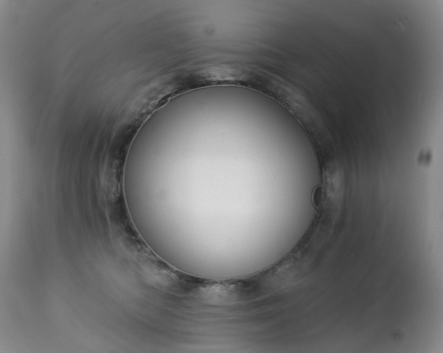 X0000112460422200908241303