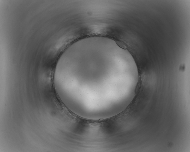 X0000112460423200908241303