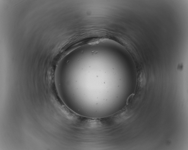 X0000112460424200908241303