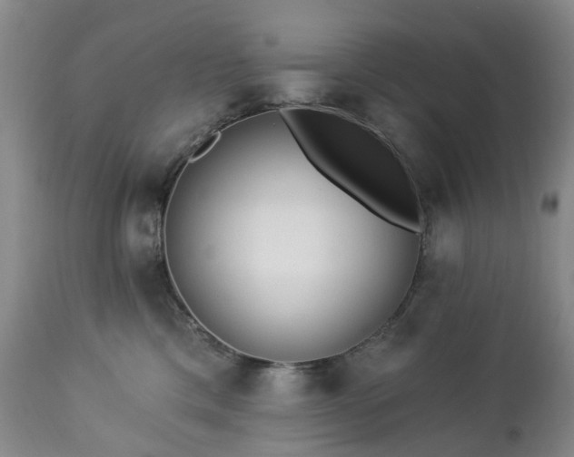 X0000112460425200908241303