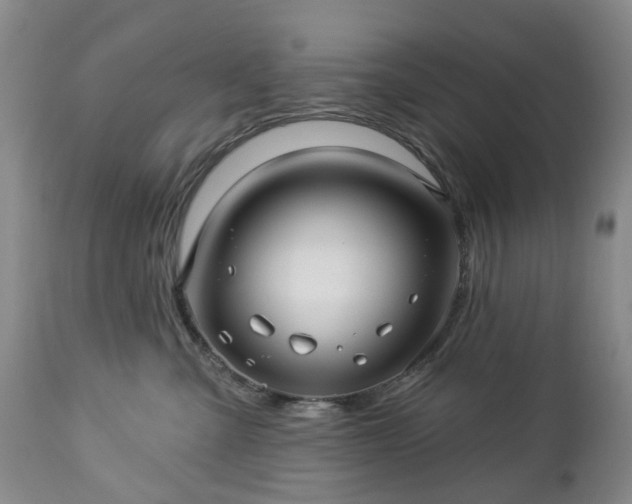 X0000112460427200908241303