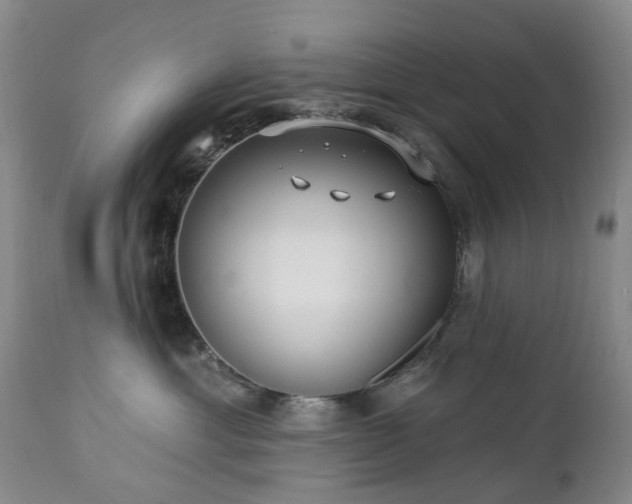 X0000112460429200908241303