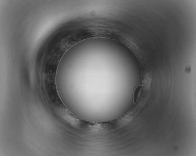 X0000112460430200908241303