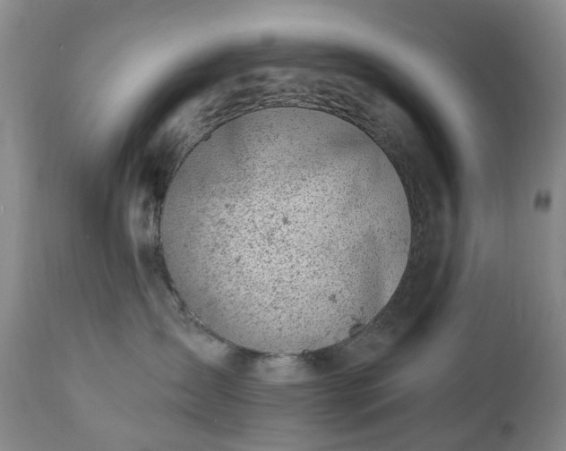 X0000112460431200908241303