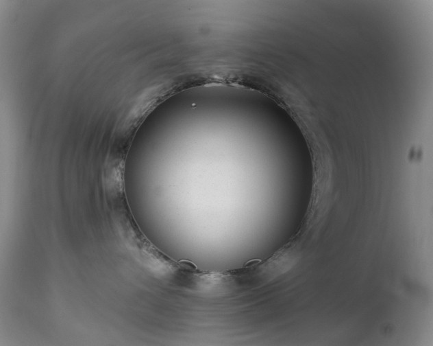 X0000112460432200908241303