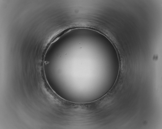 X0000112460434200908241302