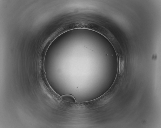 X0000112460435200908241302