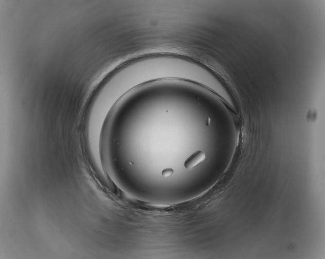 X0000112460436200908241302