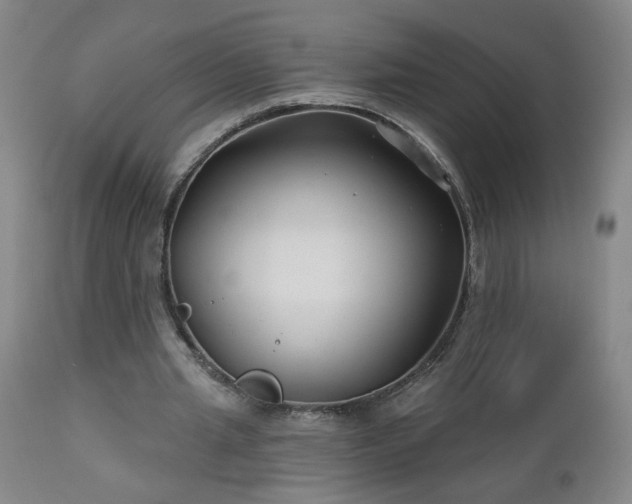 X0000112460437200908241302