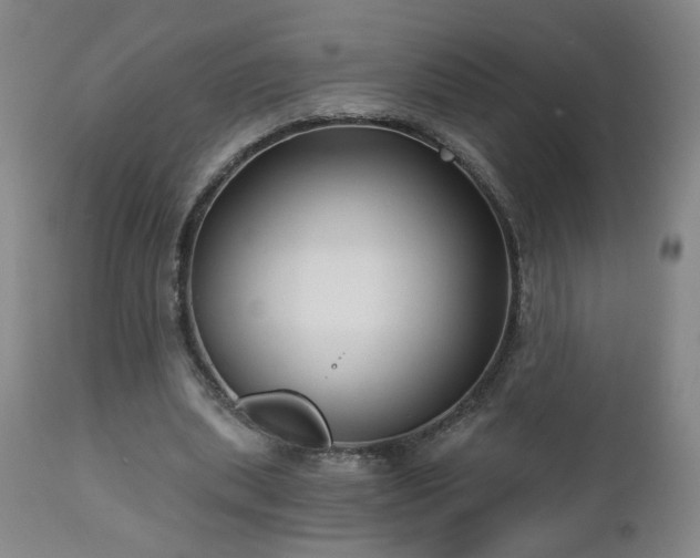 X0000112460439200908241302