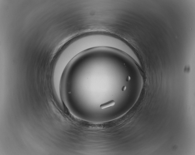 X0000112460440200908241302